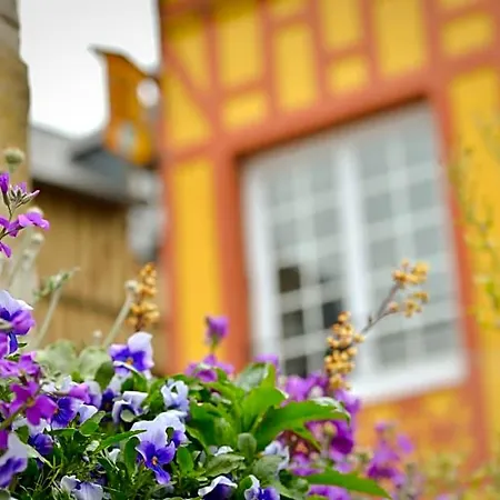 La Maison De Pierre Et Valerie Ste Catherine Holiday home *