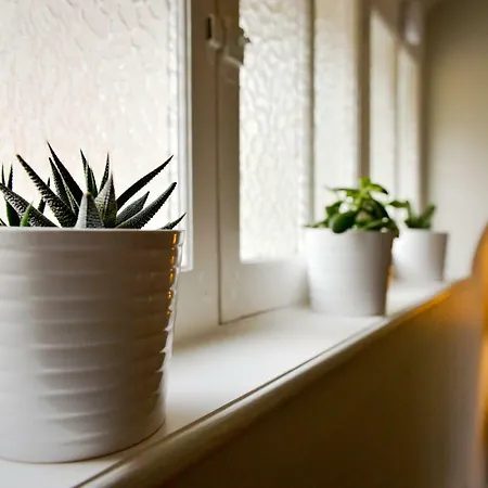 La Maison De Pierre Et Valerie Ste Catherine * Онфлёр